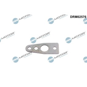 Dichtung, Ölauslass (Lader) DRM02576 für MINI
