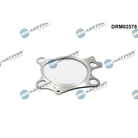 Achetez des Joint d'étanchéité, tuyau d'échappement DR.MOTOR AUTOMOTIVE DRM02578 à prix pour 15,40 €