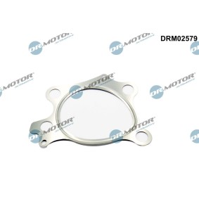 Achetez des Joint d'étanchéité, tuyau d'échappement DR.MOTOR AUTOMOTIVE DRM02579 à prix pour 7,16 €