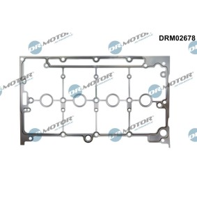 Ventildeckeldichtung DRM02678