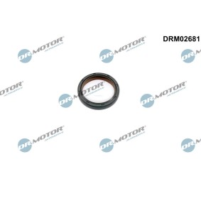 Nockenwellendichtung DRM02681 VOLKSWAGEN T-CROSS von DR.MOTOR AUTOMOTIVE