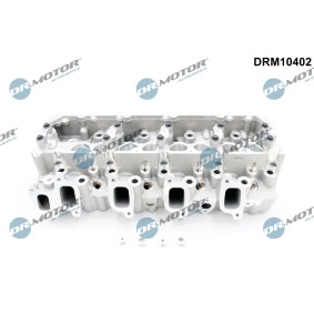 Zylinderkopf DRM10402