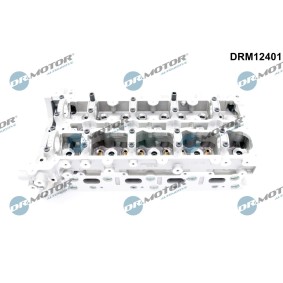 Zylinderkopf DRM12401