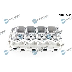 Zylinderkopf DRM13405