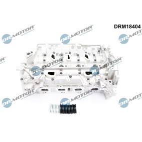 Osta DR.MOTOR AUTOMOTIVE Sylinterikansi netistä Movano Mk II (B) Combi (X62)-mallille edulliseen hintaan