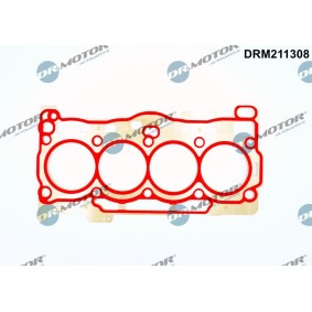 Osta DR.MOTOR AUTOMOTIVE Kannentiiviste netistä Octavia IV Combi (NX5)-mallille edulliseen hintaan