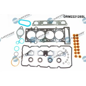 Dichtungssatz, Zylinderkopf DRM222128SL für MINI