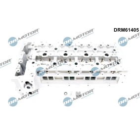 Zylinderkopf DRM61405