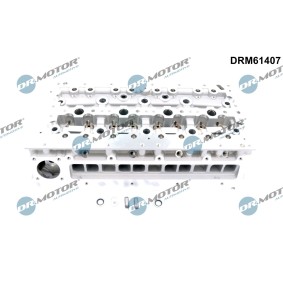Zylinderkopf DRM61407