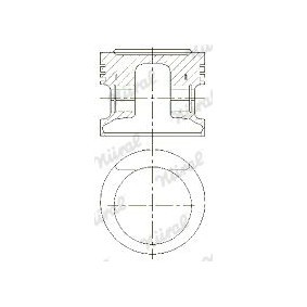Achetez des Piston NÜRAL 87-109705-20 à prix pour 102,94 €