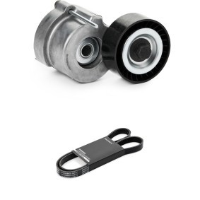 Comprar Juego de correas trapeciales poli V de RIDEX 542R1250 a bajo precio de 50,87 €