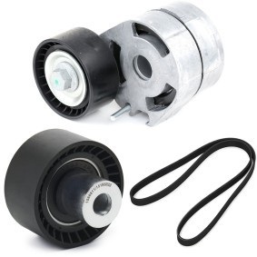 Keilrippenriemensatz 542R1255 FORD FUSION von RIDEX