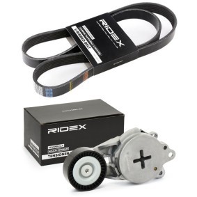 Achetez des Kit de courroie d'accessoire de chez RIDEX en ligne pour Urban Cruiser (_P1_) à prix modérés