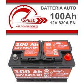 Batterie von SPEED für VOYAGER IV (RG, RS) günstig online kaufen