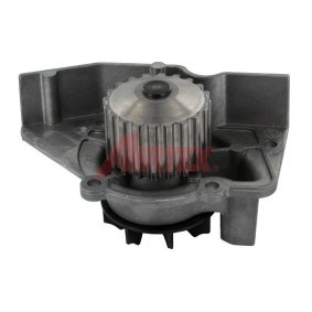Achetez des Pompe à eau AIRTEX 1361 à prix pour 38,89 €