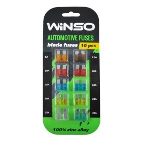 Sicherung von WINSO