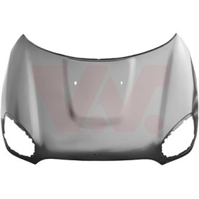 Achetez des Capot VAN WEZEL 0522660 à prix pour 596,71 €