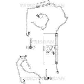 Køb Hydraulikslange, styretøj af TRISCAN 8516 25006 til den lave pris 1111,19 DKK