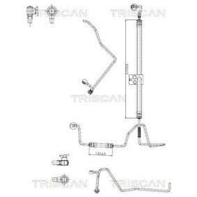 Køb Hydraulikslange, styretøj af TRISCAN 8516 29049 til den lave pris 840,59 DKK