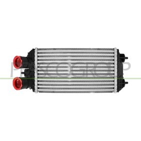 Köp Intercooler av PRASCO PG330N001 till det låga priset 1455,34 kr