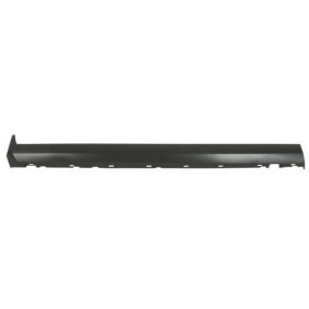 Einstiegsleiste 5703-06-2585571P