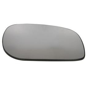 Spiegelglas, Außenspiegel 6102-02-1221922P