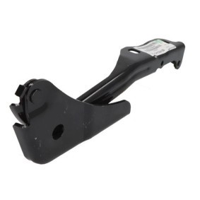 Verkleidung, Radhaus 6601-01-3172803P