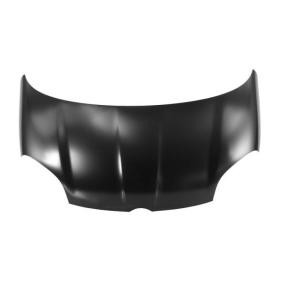 Verkleidung, Radhaus 6601-01-8171801P