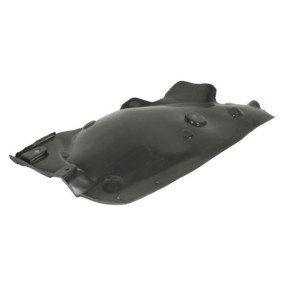 Verkleidung, Radhaus 6601-06-0000100P