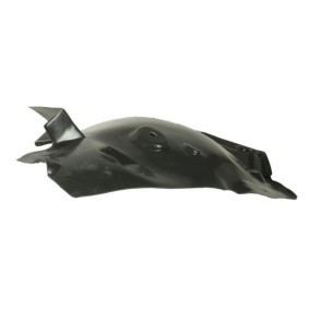 Verkleidung, Radhaus 6601-06-0000101P