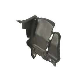 Verkleidung, Radhaus 6601-06-0000121Q
