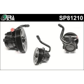 Servopumpe SP81210