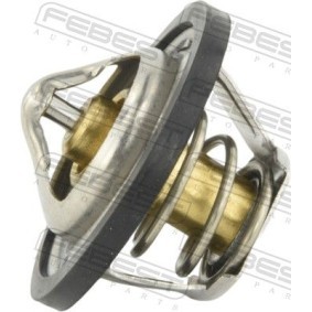 Kühlwasserthermostat 18462-001