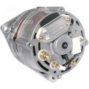 Lichtmaschine F032112098 für STEYR