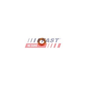 Achetez des Écran absorbant la chaleur (injection) de chez FAST en ligne pour Corsa C Van (X01) à prix modérés