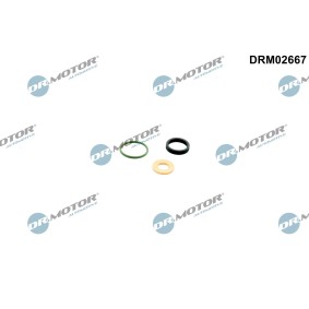 Comprar Juego de juntas, inyector de DR.MOTOR AUTOMOTIVE DRM02667 a bajo precio de 7,30 €