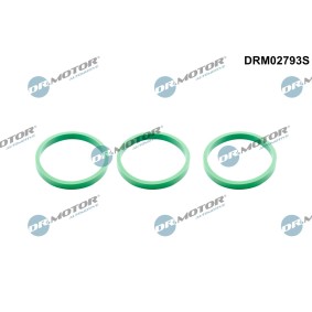 Dichtungssatz, Ansaugkrümmer von DR.MOTOR AUTOMOTIVE