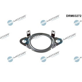 Dichtung, Leitung AGR-Ventil DRM03272