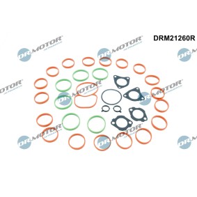 Dichtungssatz, Ansaugkrümmer von DR.MOTOR AUTOMOTIVE