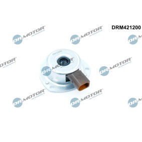 Acquista Magnete centrale, Regolazione albero a camme da DR.MOTOR AUTOMOTIVE DRM421200 a buon mercato per soli 57,41 €