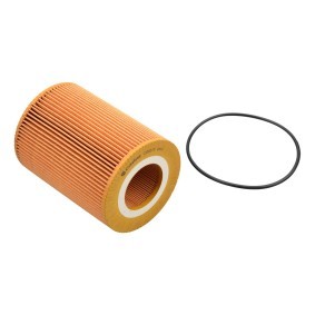Ölfilter von Castrol filters CO0313