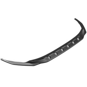 Spoilerlippe FS01.169