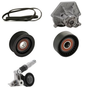 Achetez des Pompe à eau+Jeu de courroie trapézoïdale à nervures RIDEX PLUS 4172P0166P à prix pour 162,11 €