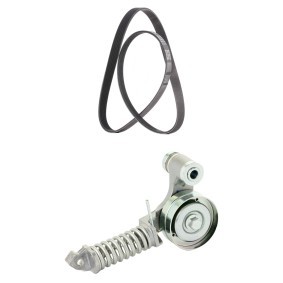 Achetez des Jeu de courroies trapézoïdales à nervures RIDEX PLUS 542R1303P à prix pour 69,16 €