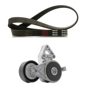 Achetez des Jeu de courroies trapézoïdales à nervures RIDEX PLUS 542R1350P à prix pour 74,19 €