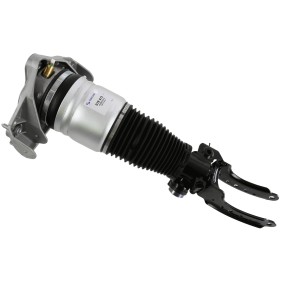 Comprar Amortiguador neumático de SACHS 319 413 a bajo precio de 963,35 €