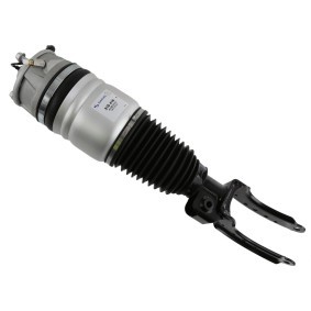 Comprar Amortiguador neumático de SACHS 319 416 a bajo precio de 981,04 €