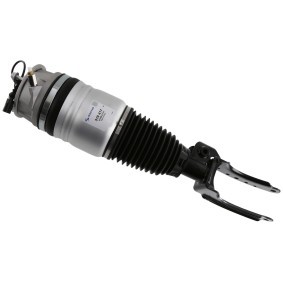 Comprar Amortiguador neumático de SACHS 319 417 a bajo precio de 981,04 €