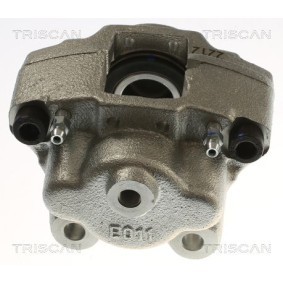 Bremssattel 8175 23251