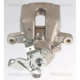 Bremssattel 8175 23252